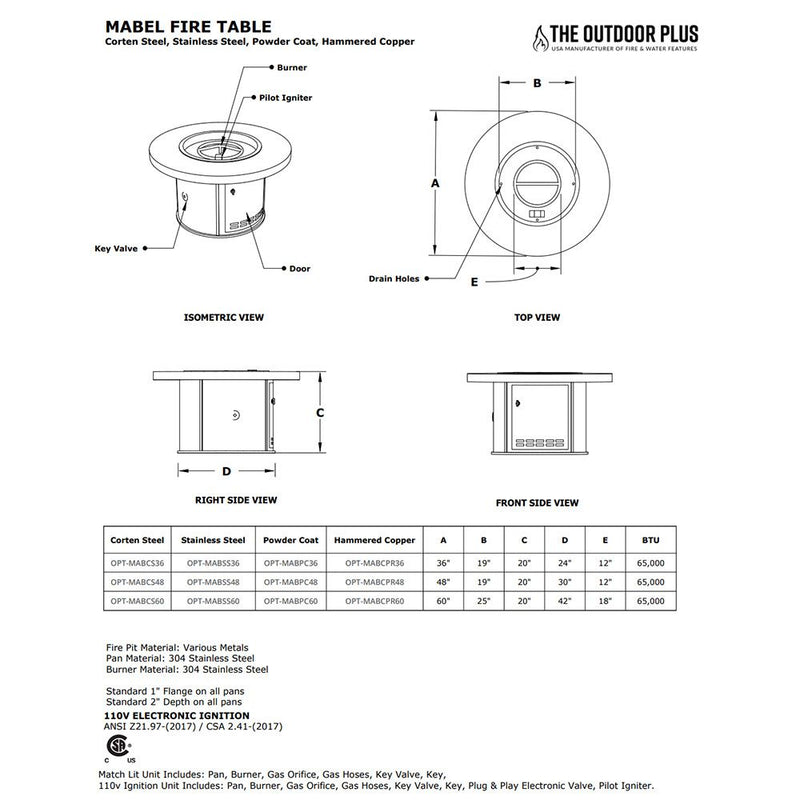 Load image into Gallery viewer, Mabel Powder Coat Steel Fire Pit Table
